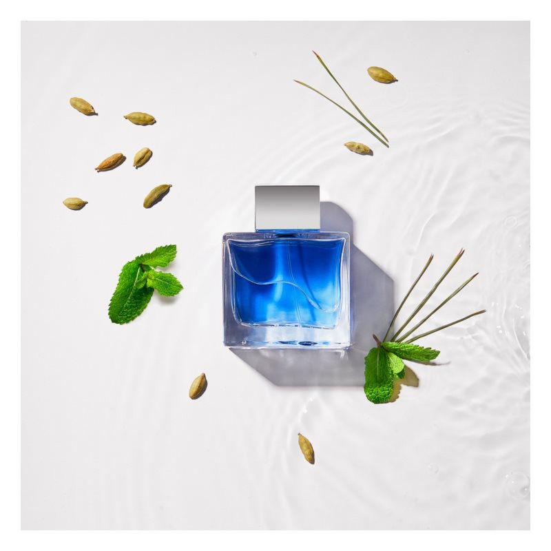 Blue Seduction - Antonio Banderas for men