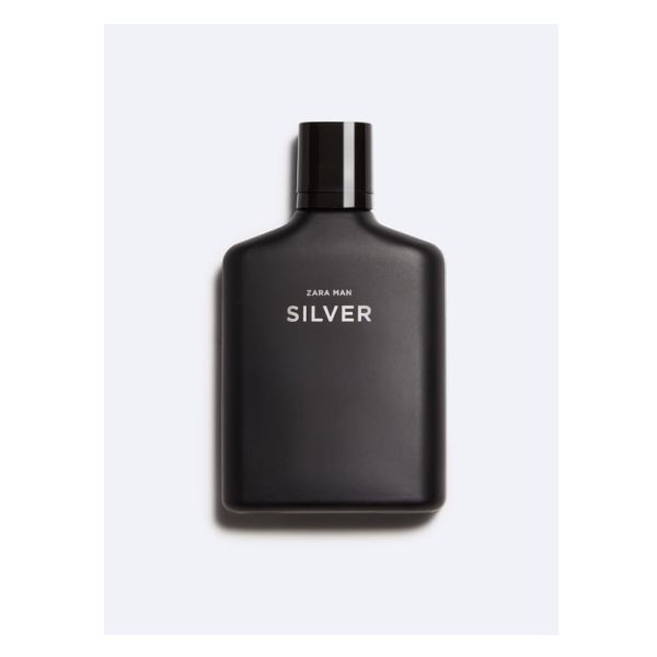 Man Silver - Zara for men